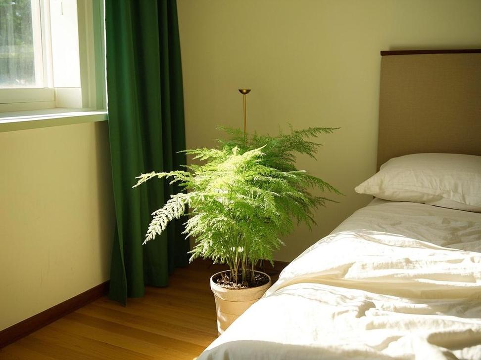 荷花竹有毒吗,能放在家中吗?荷花竹有毒吗??-第2张图片-优品飞百科 荷花竹有毒吗,能放在家中吗?荷花竹有毒吗??-第2张图片-优品飞百科