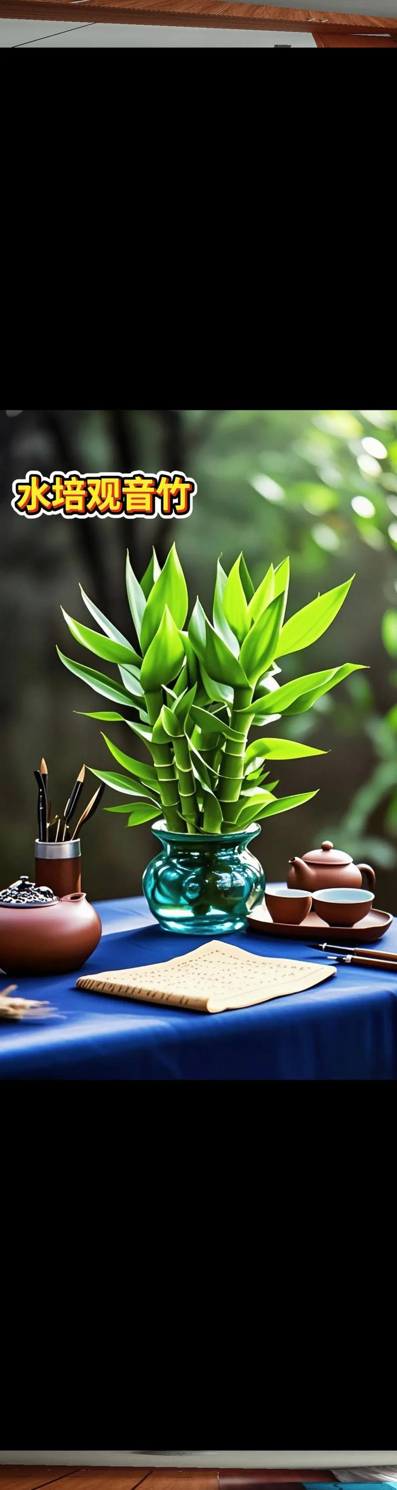 荷花竹有毒吗,能放在家中吗?荷花竹有毒吗??-第7张图片-优品飞百科 荷花竹有毒吗,能放在家中吗?荷花竹有毒吗??-第7张图片-优品飞百科