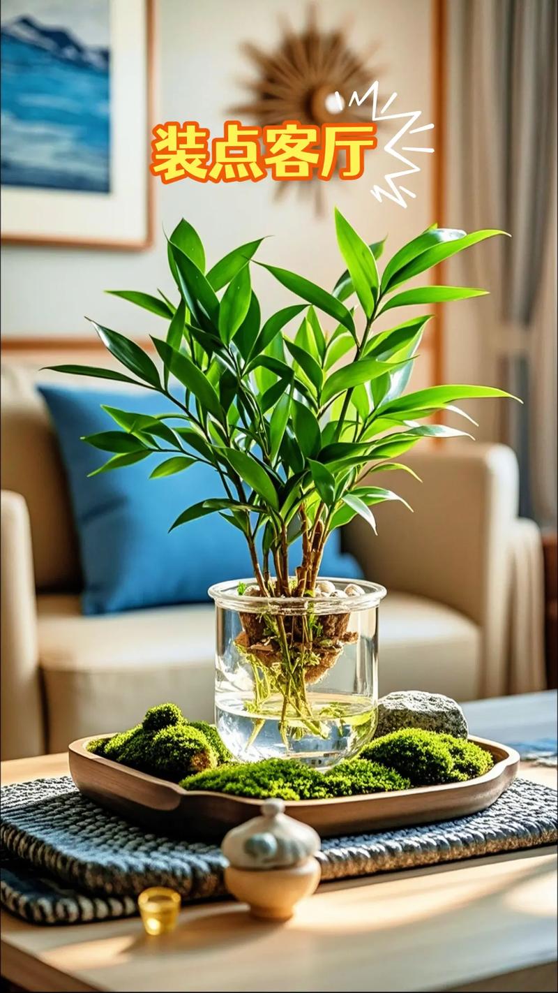 听说这些植物可以“去除”房间里的异味,快试试吧!的简单介绍-第4张图片-优品飞百科 听说这些植物可以“去除”房间里的异味,快试试吧!的简单介绍-第4张图片-优品飞百科