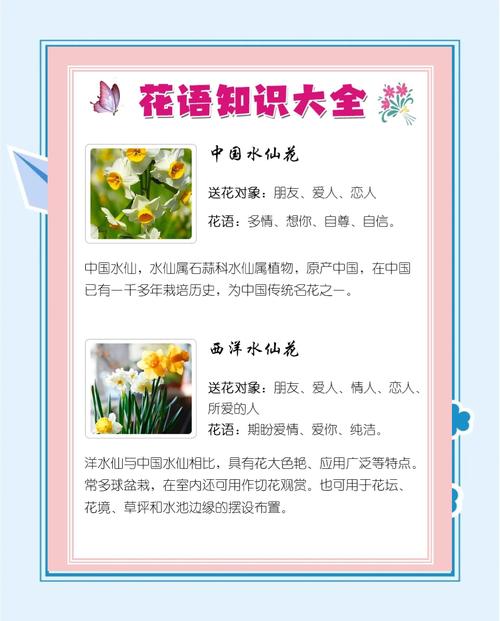 水仙花的花语，花语是杀戮与救赎的花-第3张图片-优品飞百科