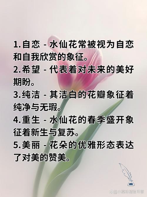 水仙花的花语，花语是杀戮与救赎的花-第6张图片-优品飞百科