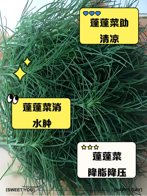 碱蓬的功效与作用，碱蓬的功效与作用及食用方法-第6张图片-优品飞百科