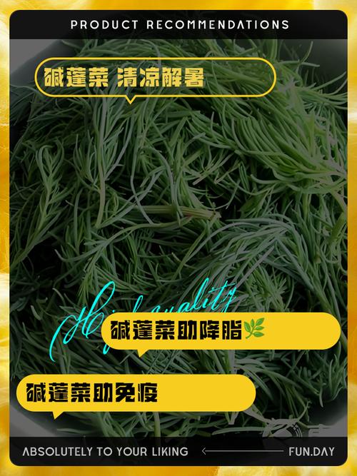 碱蓬的功效与作用，碱蓬的功效与作用及食用方法-第7张图片-优品飞百科