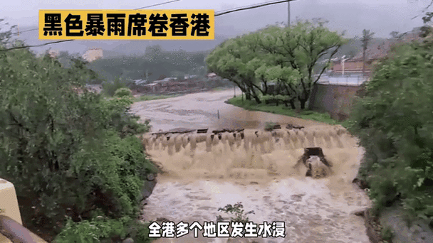 香港天气预报最新，香港天气预报最新台风？-第8张图片-优品飞百科