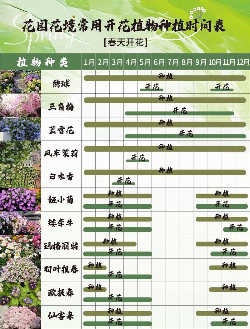 长春花和迎春花的区别，迎春花与长寿花是否一样图片大全大图？-第3张图片-优品飞百科
