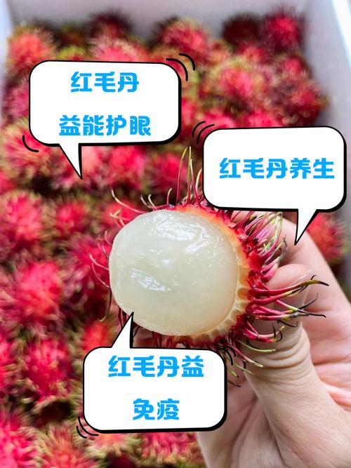 红毛丹怎么吃，红毛丹怎么吃法？-第1张图片-优品飞百科