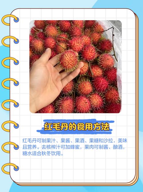 红毛丹怎么吃，红毛丹怎么吃法？-第2张图片-优品飞百科