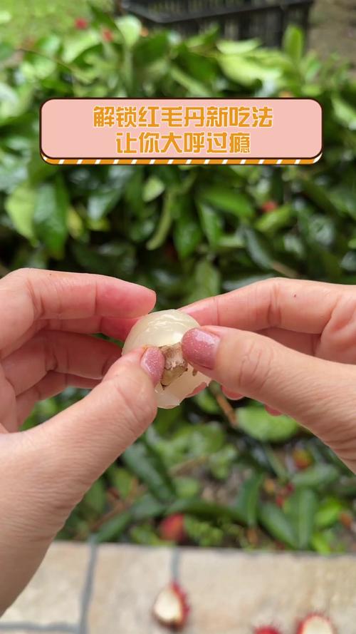 红毛丹怎么吃，红毛丹怎么吃法？-第5张图片-优品飞百科