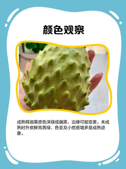 释迦果怎么吃，怎么判断熟没熟？释迦果怎么分辨熟？-第5张图片-优品飞百科