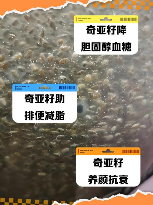 罗勒籽的功效和作用？罗勒籽的功效与作用？-第3张图片-优品飞百科