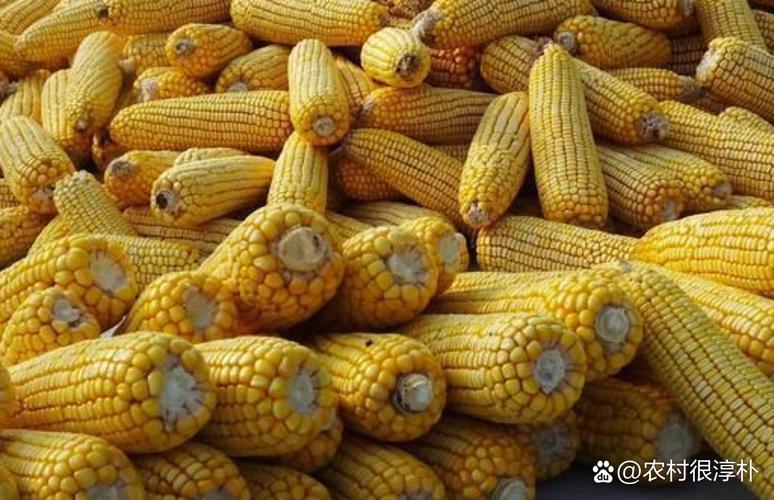 天气预报开鲁，天气预报开鲁麦新镇-第6张图片-优品飞百科