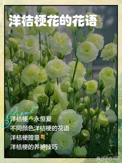 桔梗花的花语，蓝色桔梗花的花语？-第3张图片-优品飞百科