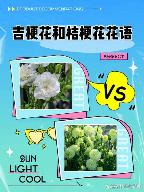桔梗花的花语，蓝色桔梗花的花语？-第4张图片-优品飞百科