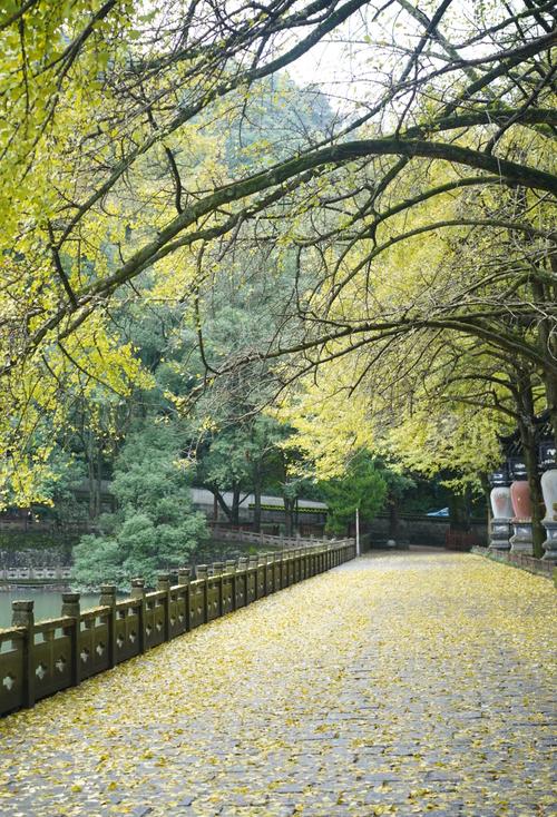 天气预报鄞州,天气预报鄞州天气预报15天?-第6张图片-优品飞百科 天气预报鄞州,天气预报鄞州天气预报15天?-第6张图片-优品飞百科