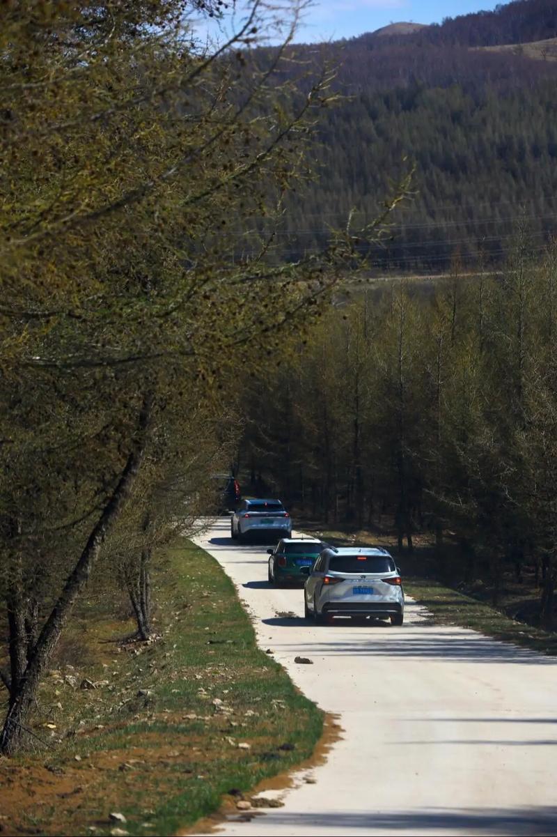 天气预报丰宁，天气预报丰宁天气15天？-第4张图片-优品飞百科