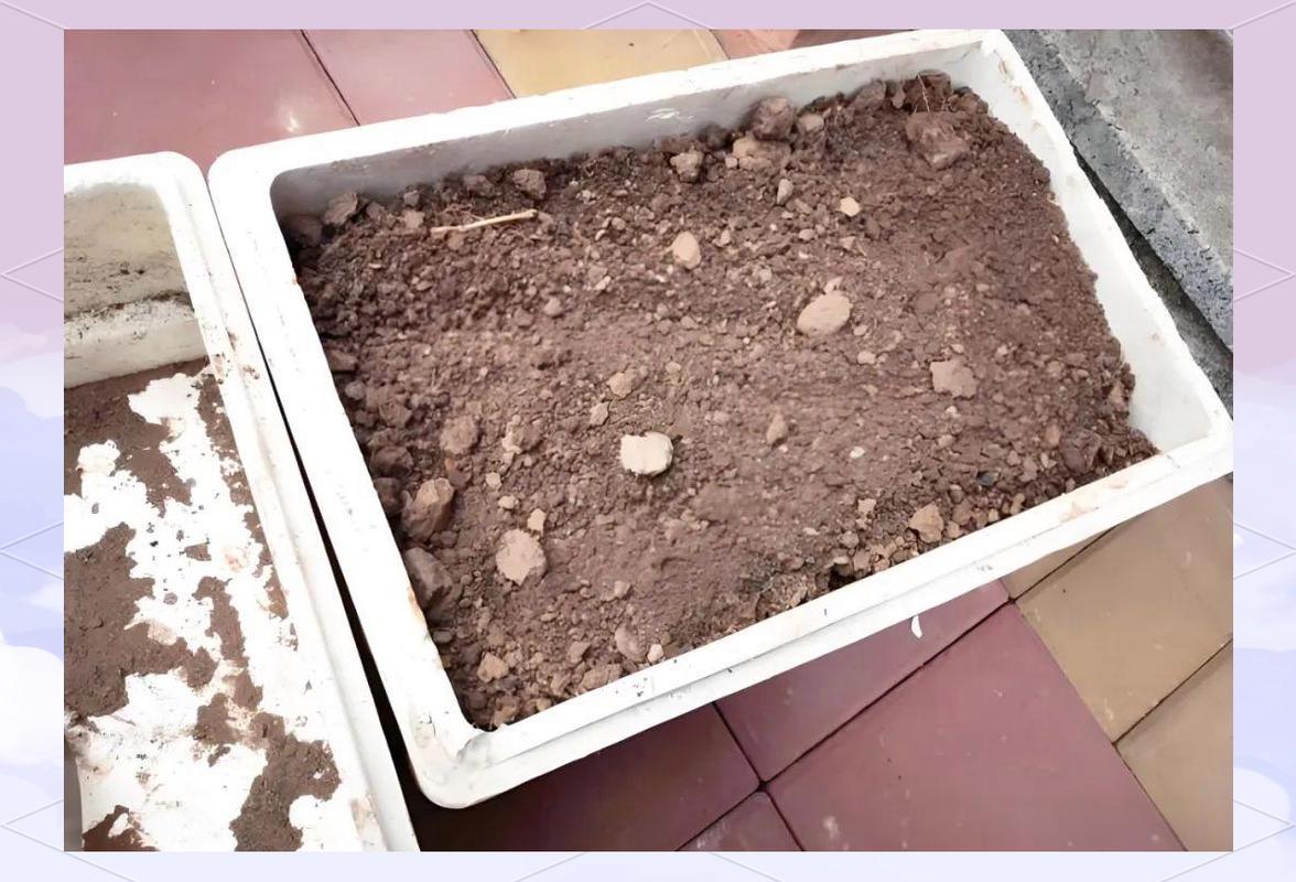 泡沫箱种菜有毒？会致癌？是真的吗？，泡沫箱种菜对人体有害吗?？-第1张图片-优品飞百科