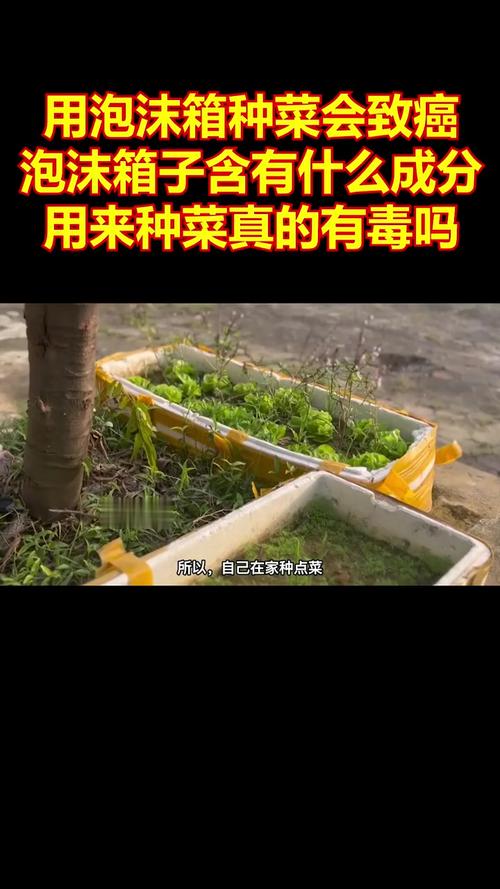 泡沫箱种菜有毒？会致癌？是真的吗？，泡沫箱种菜对人体有害吗?？-第2张图片-优品飞百科