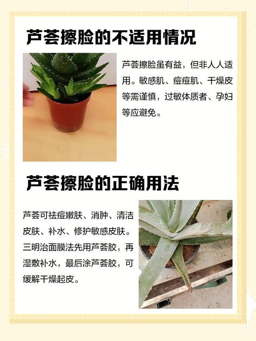 盆栽的芦荟可以擦脸吗?盆栽的芦荟可以擦脸吗可以食用吗??-第2张图片-优品飞百科 盆栽的芦荟可以擦脸吗?盆栽的芦荟可以擦脸吗可以食用吗??-第2张图片-优品飞百科