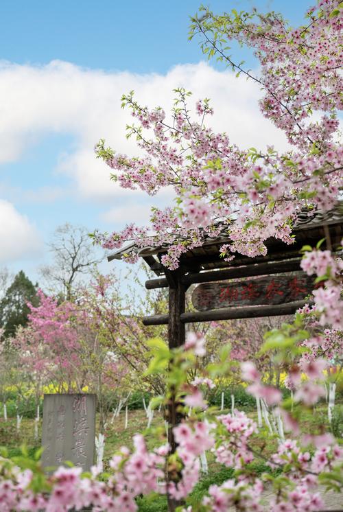 新荣天气预报，脑部萎缩挂哪个科室？-第5张图片-优品飞百科