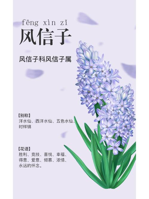 洋水仙有什么作用？洋水仙是否有毒？-第6张图片-优品飞百科