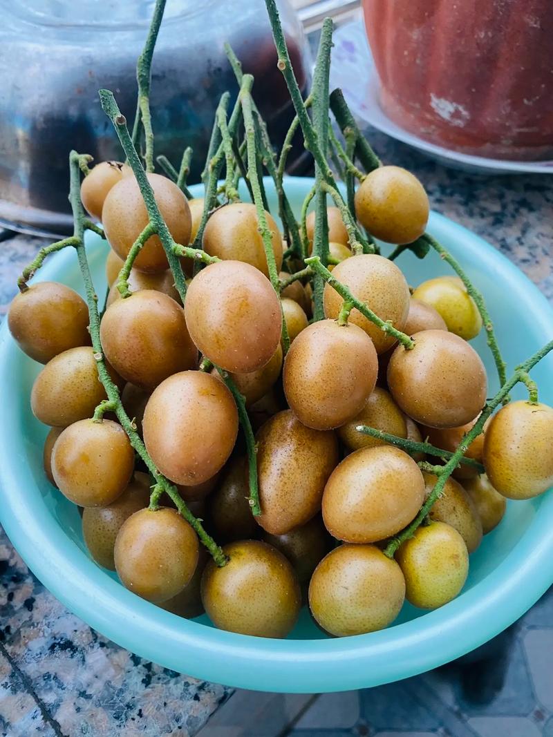 黄皮水果种类大全，黄皮水果图片大全名字？-第5张图片-优品飞百科