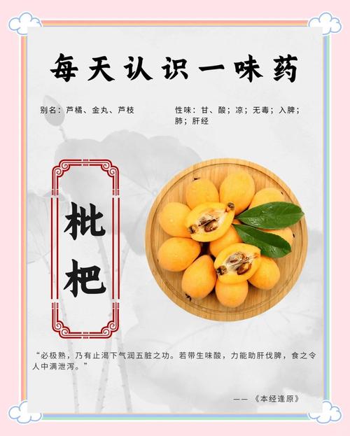 枇杷果的功效与作用,枇杷果的功效与作用的功能-第4张图片-优品飞百科 枇杷果的功效与作用,枇杷果的功效与作用的功能-第4张图片-优品飞百科