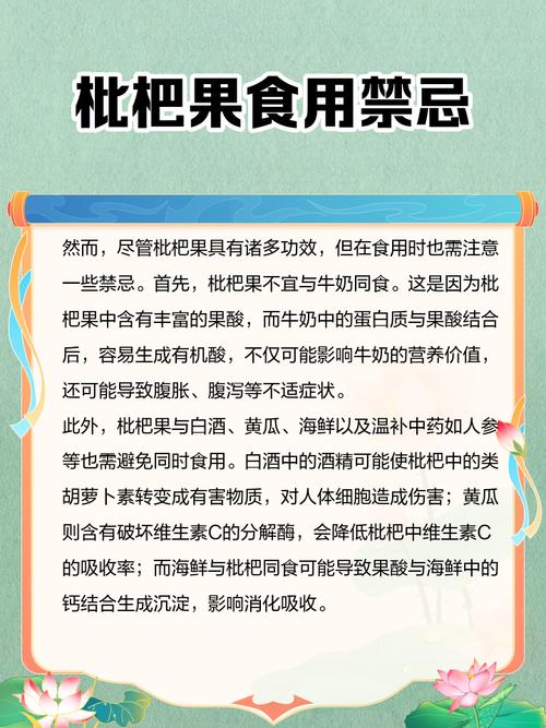 枇杷果的功效与作用,枇杷果的功效与作用的功能-第5张图片-优品飞百科 枇杷果的功效与作用,枇杷果的功效与作用的功能-第5张图片-优品飞百科