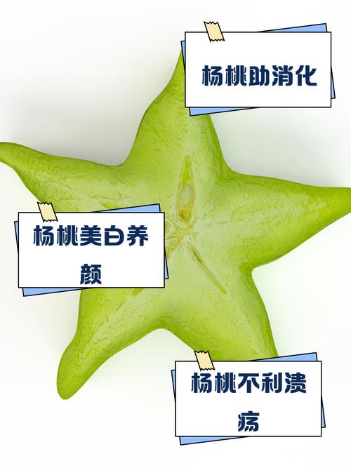 杨桃的功效与作用，新鲜杨桃的功效与作用？-第3张图片-优品飞百科