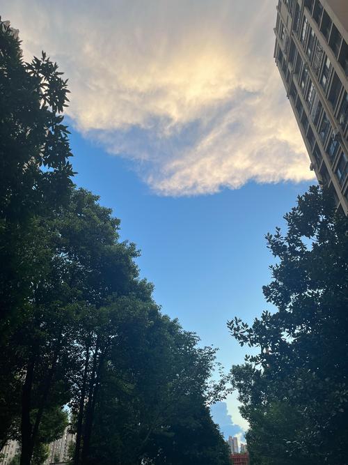 武汉天气15天准确,武汉天气15天查询结果?-第4张图片-优品飞百科 武汉天气15天准确,武汉天气15天查询结果?-第4张图片-优品飞百科