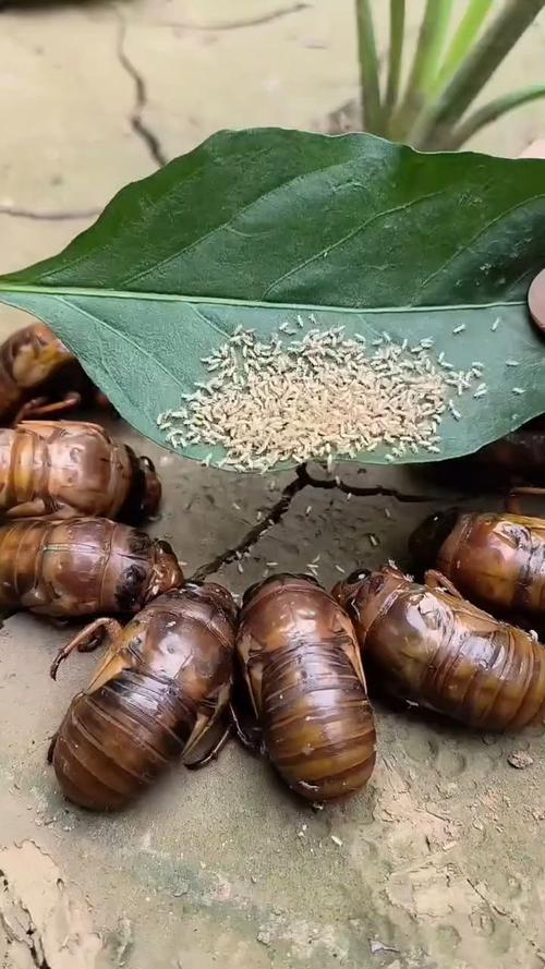 河北南宫天气预报，河北南宫天气预报最新？-第1张图片-优品飞百科