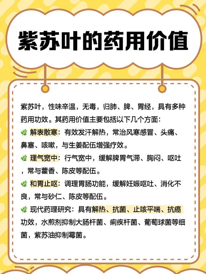 紫苏的功效与作用，紫苏的功效与作用与主治-第2张图片-优品飞百科