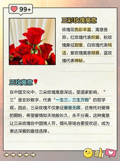 红玫瑰代表什么，红玫瑰图片，红玫瑰代表啥子？-第3张图片-优品飞百科
