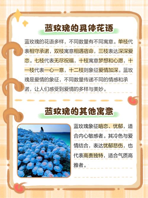 红玫瑰代表什么，红玫瑰图片，红玫瑰代表啥子？-第4张图片-优品飞百科