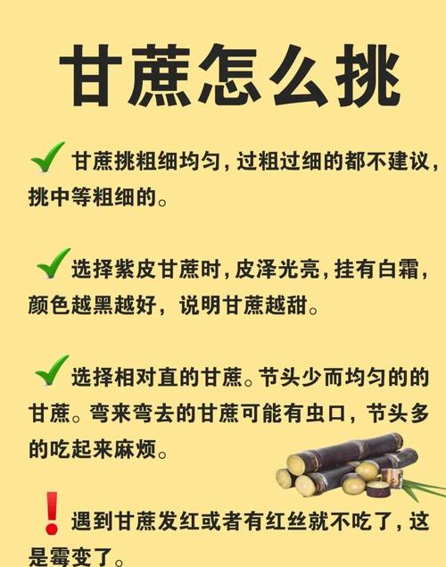 甘蔗的功效与作用，吃甘蔗有什么好处，甘蔗的作用及功效作用