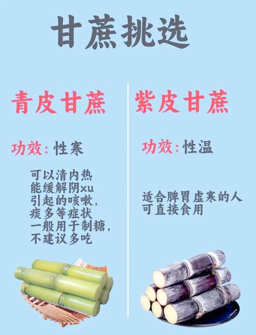 甘蔗的功效与作用，吃甘蔗有什么好处，甘蔗的作用及功效作用-第2张图片-优品飞百科