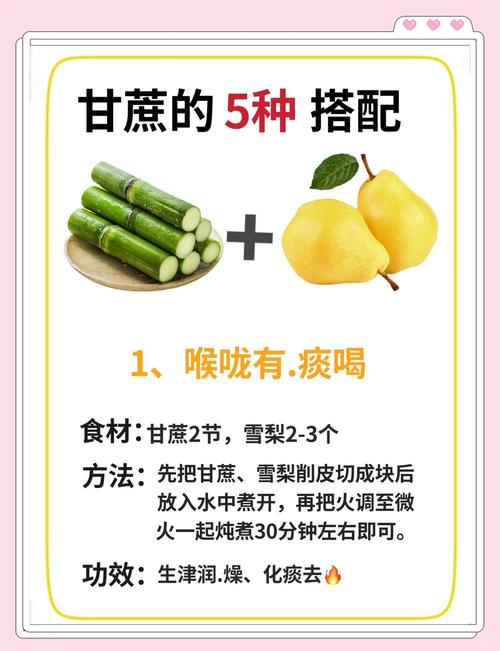 甘蔗的功效与作用，吃甘蔗有什么好处，甘蔗的作用及功效作用-第4张图片-优品飞百科