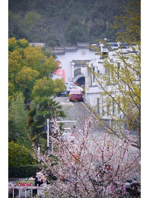 徐州市泉山区天气预报，徐州市泉山区天气预报实时预报-第3张图片-优品飞百科