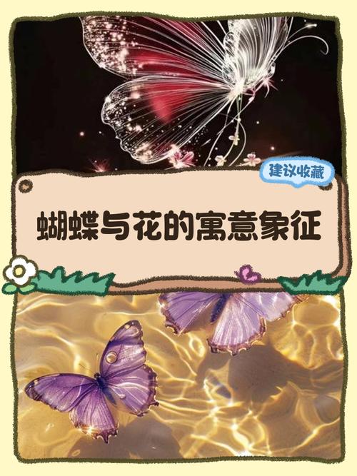 蝴蝶花的花语和传说，蝴蝶花又名？