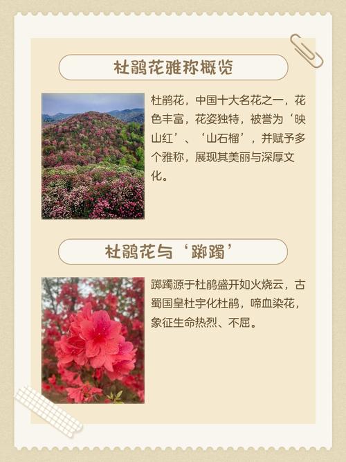 杜松的文化意义，杜松是啥-第2张图片-优品飞百科