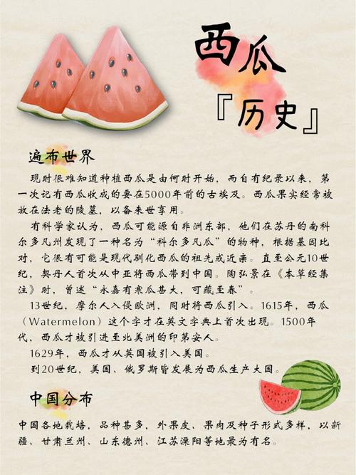 西瓜的功效作用与营养价值？西瓜的功能和功效？-第3张图片-优品飞百科