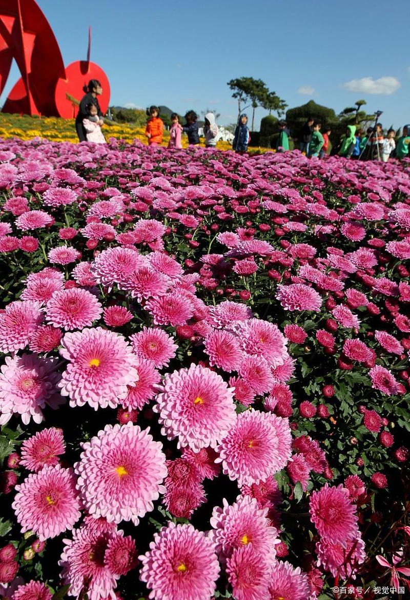 天气预报铜陵市，天气 铜陵？-第3张图片-优品飞百科