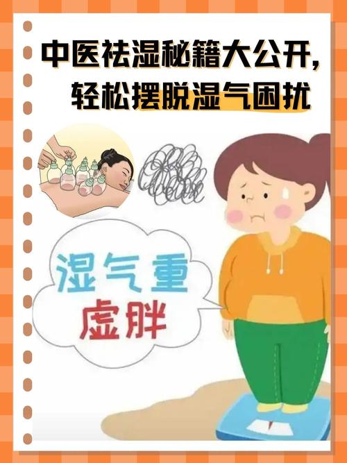 这6种“养生花”,秋天湿气寒气全吸走,家里有老人必备!的简单介绍-第3张图片-优品飞百科 这6种“养生花”,秋天湿气寒气全吸走,家里有老人必备!的简单介绍-第3张图片-优品飞百科