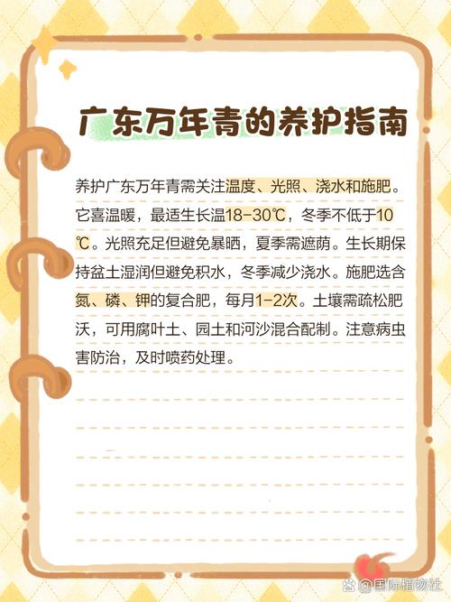 广东万年青能放在卧室吗，广东万年青放在室内有什么作用-第3张图片-优品飞百科