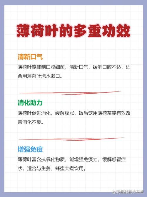 薄荷的功效与作用，薄荷叶怎么吃？薄荷叶的功效与作用及食用方法？-第4张图片-优品飞百科