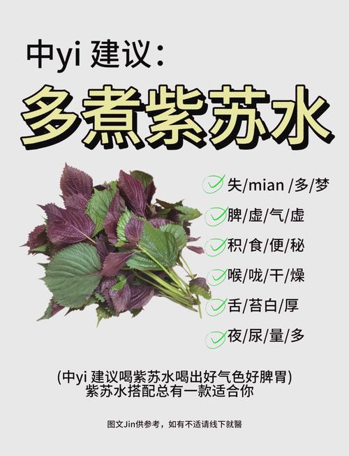 紫苏的作用，紫苏的作用和功能主治是什么？-第4张图片-优品飞百科