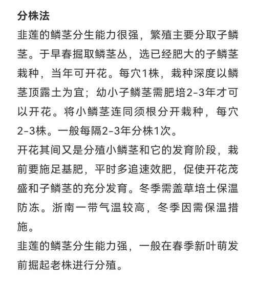 韭菜莲的价值，韭菜莲的药用价值-第3张图片-优品飞百科