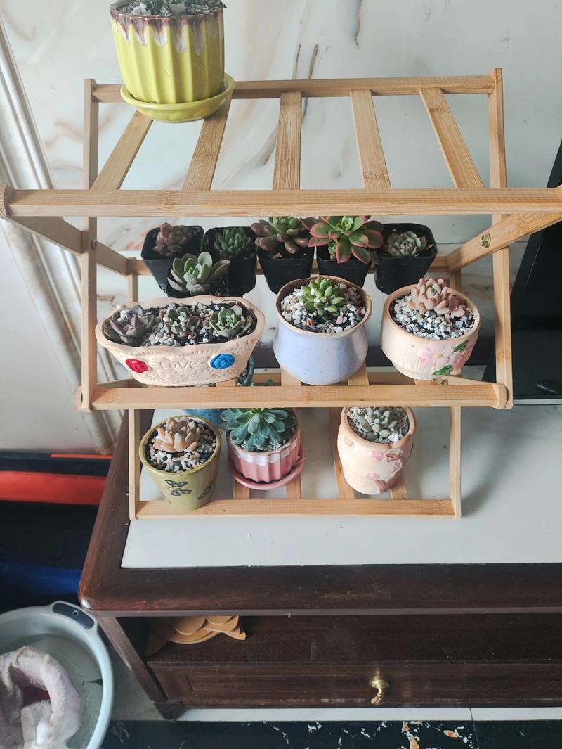 杜鹃花适合放卧室吗,杜鹃花可以放卧室吗,对人体好吗-第4张图片-优品飞百科 杜鹃花适合放卧室吗,杜鹃花可以放卧室吗,对人体好吗-第4张图片-优品飞百科