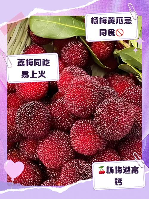 杨梅不能和什么一起吃，杨梅不能和什么一起吃,杨梅和什么相克？