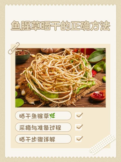 鱼腥草怎么吃，鱼腥草怎么做好吃，鱼腥草怎么吃,鱼腥草怎么做好吃又简单-第2张图片-优品飞百科