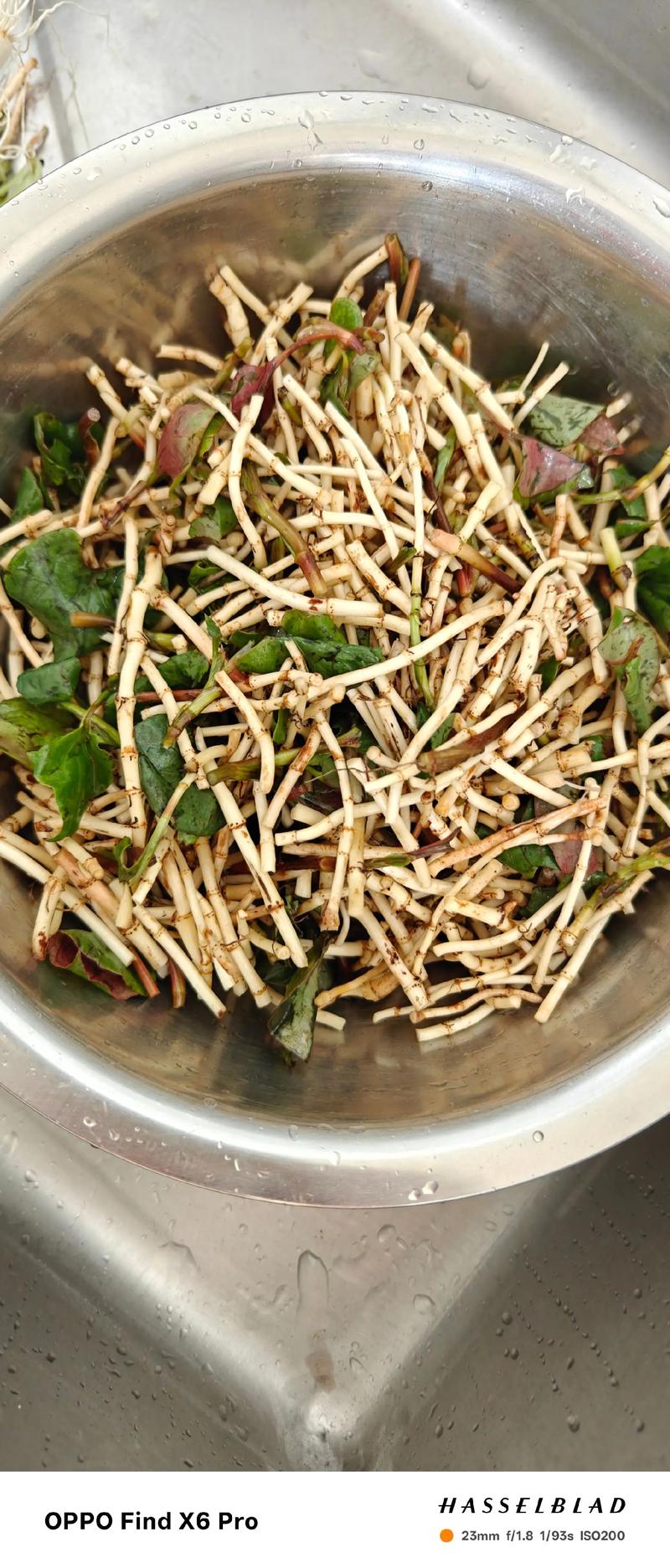 鱼腥草怎么吃，鱼腥草怎么做好吃，鱼腥草怎么吃,鱼腥草怎么做好吃又简单-第4张图片-优品飞百科